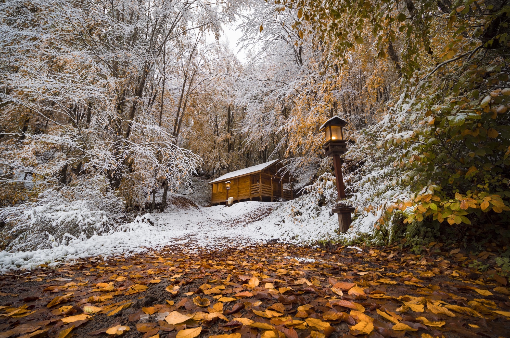 Gölköy Ulugöl Tabiat Parkı